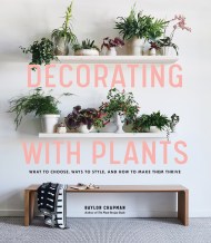 Decorating with Plants