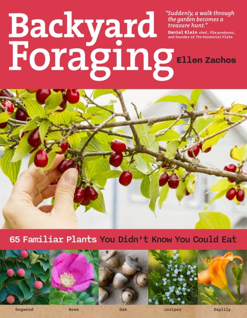 Backyard Foraging Book Cover