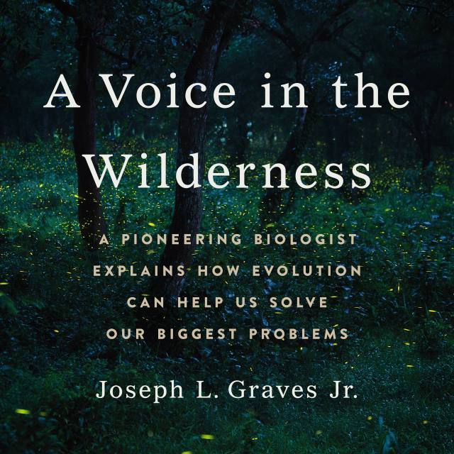 A Voice in the Wilderness