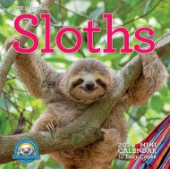 Original Sloths Mini Wall Calendar 2024