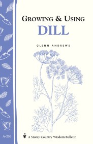 Growing & Using Dill