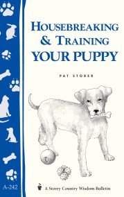 Housebreaking & Training Your Puppy