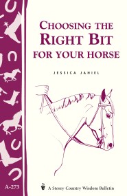 Choosing the Right Bit for Your Horse 