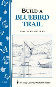Build a Bluebird Trail